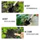 Gardening three-piece set of potted small shovel, garden small shovel, indoor flower potted loose soil, flower and vegetable planting tools
