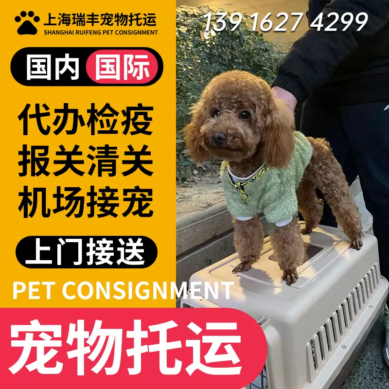宠物寄送 新人首单立减十元 2021年11月 淘宝海外