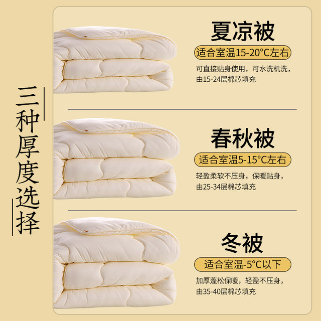 Quilt in summer, air conditioning, dormitory single student spring and autumn quilt thin quilt four seasons universal quilt winter quilt