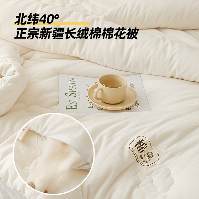Winter Xinjiang cotton quilt winter quilt dormitory single student thickened warm spring and autumn quilt core 2025 new