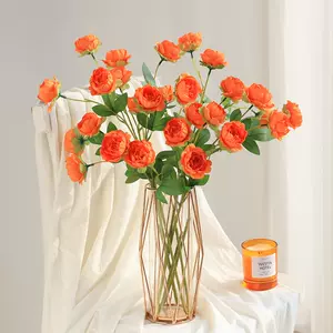 桔色牡丹花 新人首单立减十元 22年5月 淘宝海外