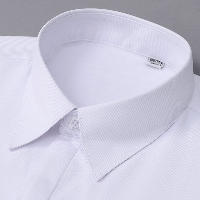 2019 new autumn and winter women's long-sleeved velvet thickened white shirt women's warm professional work clothes formal shirt