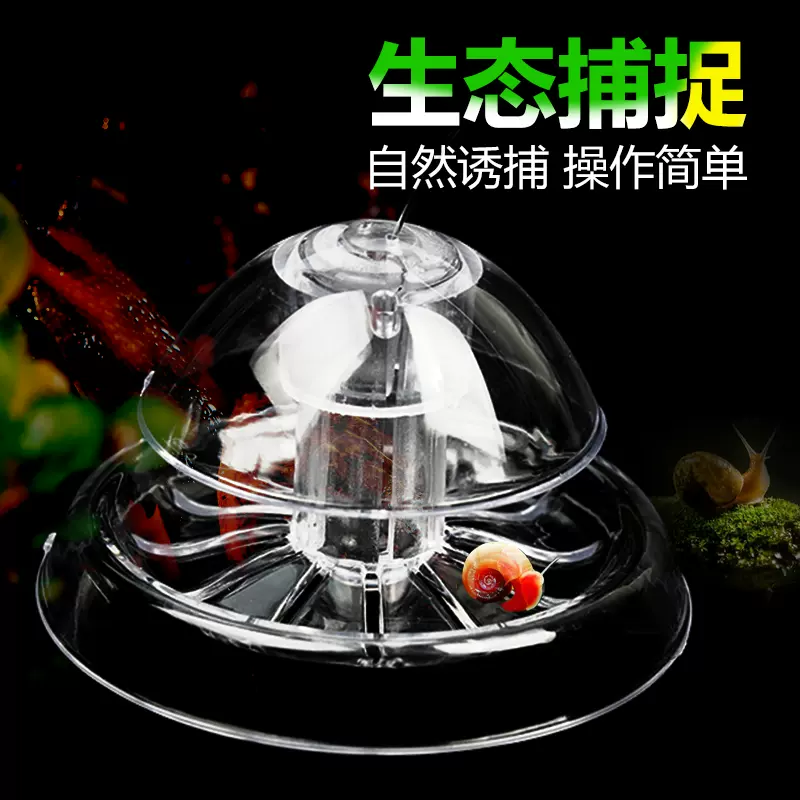 鱼缸除蜗牛 新人首单立减十元 21年10月 淘宝海外