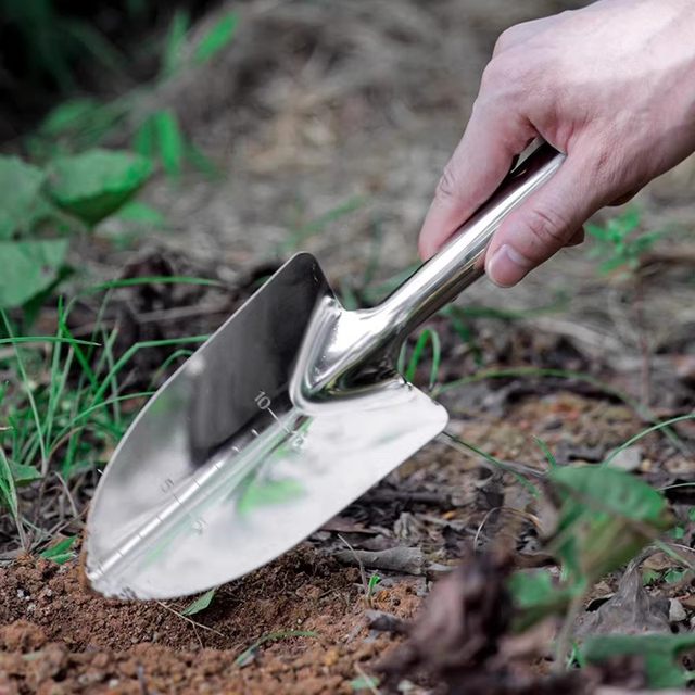 Wild vegetable shovel, gardening small shovel, stainless steel sea-catching artifact, garlic digging shovel, special multi-functional sand digging shovel