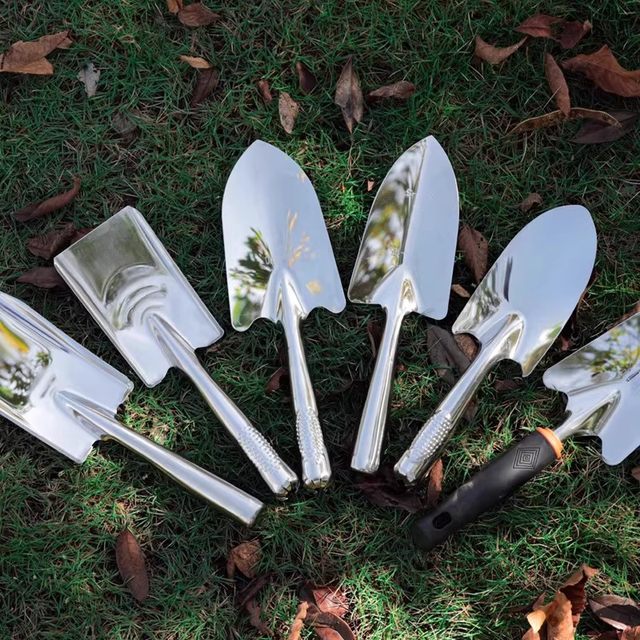 Wild vegetable shovel, gardening small shovel, stainless steel sea-catching artifact, garlic digging shovel, special multi-functional sand digging shovel