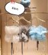Very upright! LB+ is coquettish and beautiful! Fairy-like, sweet bouquet of tulle and tulle top