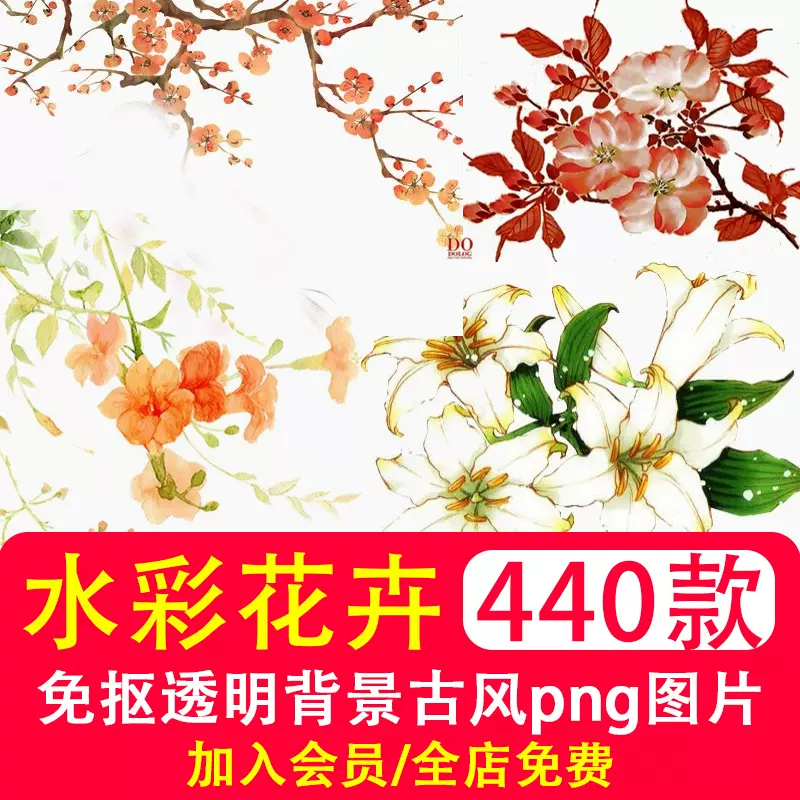 Png免抠透明背景古风图片手绘水彩牡丹花卉后期美化ps设计素材