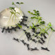Creative, fresh, cute and funny simulated three-dimensional grass bean sprouts with grass growing on children's heads for sale sprouting hair clips on the top of the head