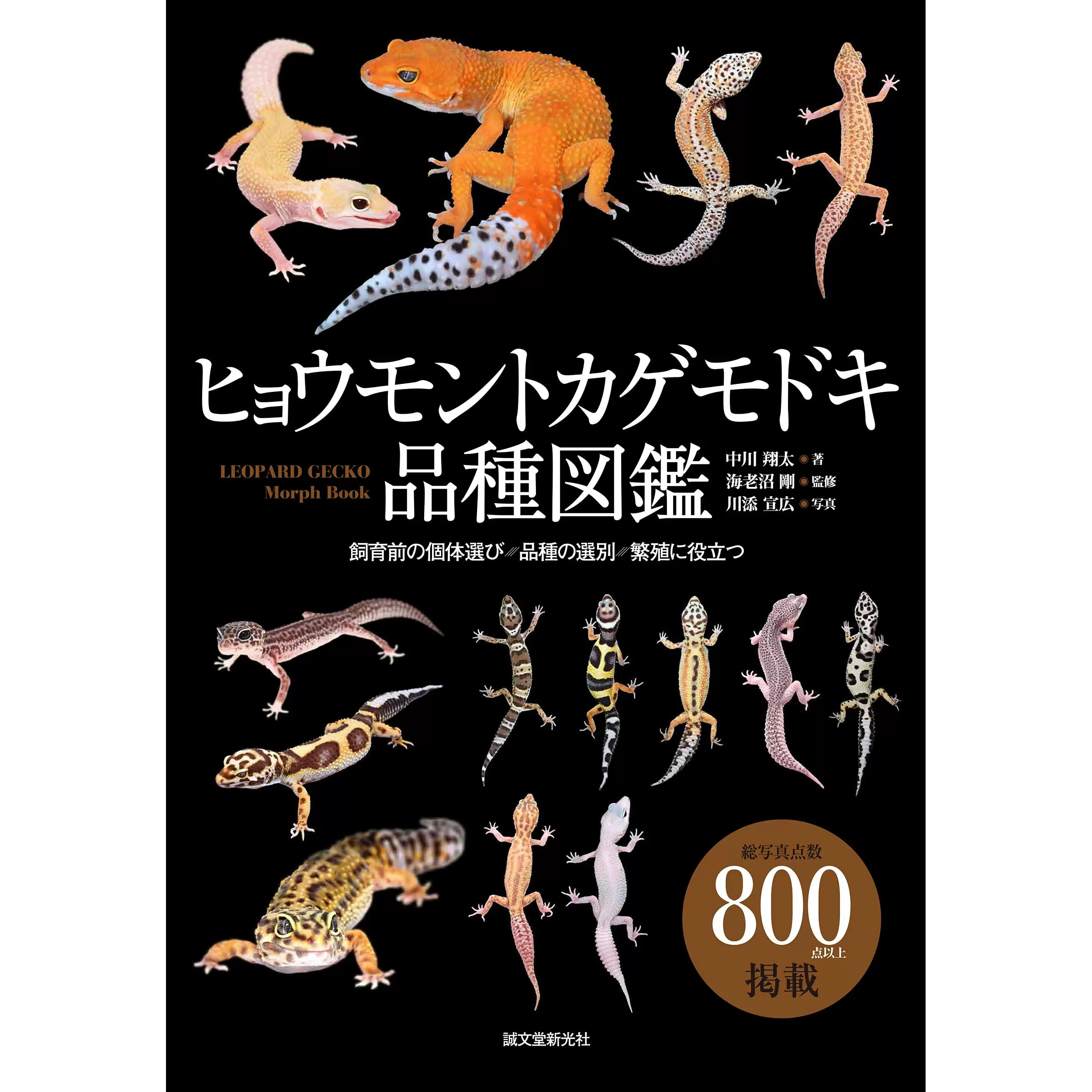 诚文 新人首单立减十元 21年11月 淘宝海外