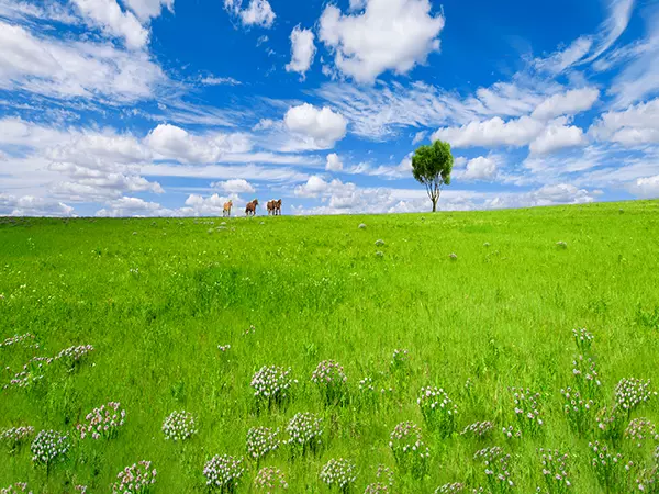 主播背景布抖音直播间农村网红直播背景墙3d立体窑洞