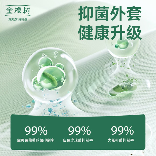 Golden Oak Trale Natural Latex Pillow Cloud Feeling Pillow