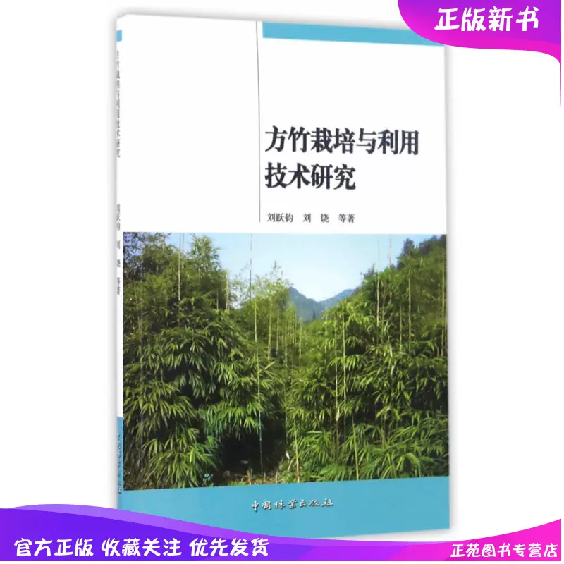 笋竹笋苗 新人首单立减十元 21年11月 淘宝海外