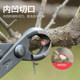 Zhuji ball joint shears, ball shears, Zhuji professional bonsai tools, ball shears, ball pliers, Zhuji genuine pruning shears, stainless steel