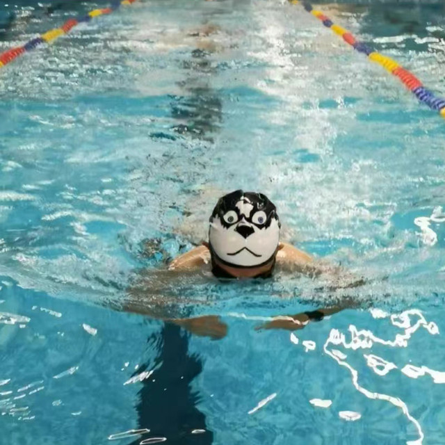 Husky Swimming Hat Men's Common Adult Boxitou High Blaze Erhacao Funny Pingu Penguin Swimming Hat
