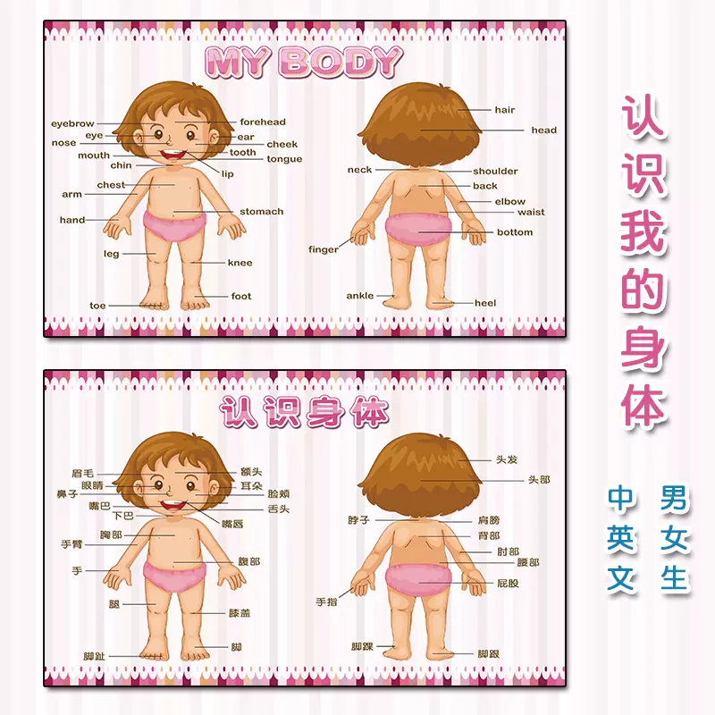 认识身体部位 新人首单立减十元 21年11月 淘宝海外