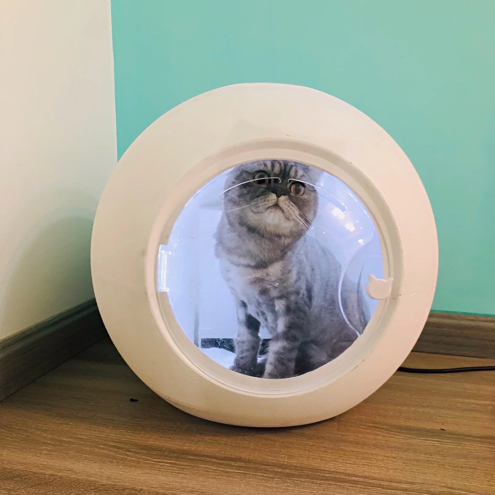 米家有品宠物烘干箱全自动家用猫咪吹风机小型犬猫