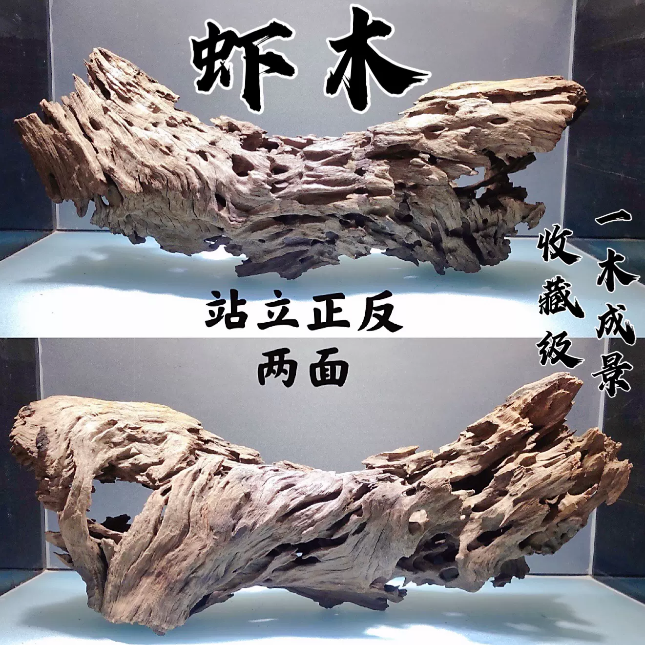 海外ブランド 流木 - その他