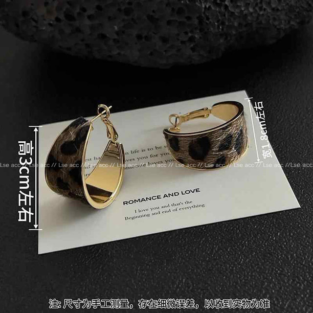 Retro geometric wide-brimmed leopard print circle earrings women's autumn and winter new high-end exaggerated niche temperament earrings