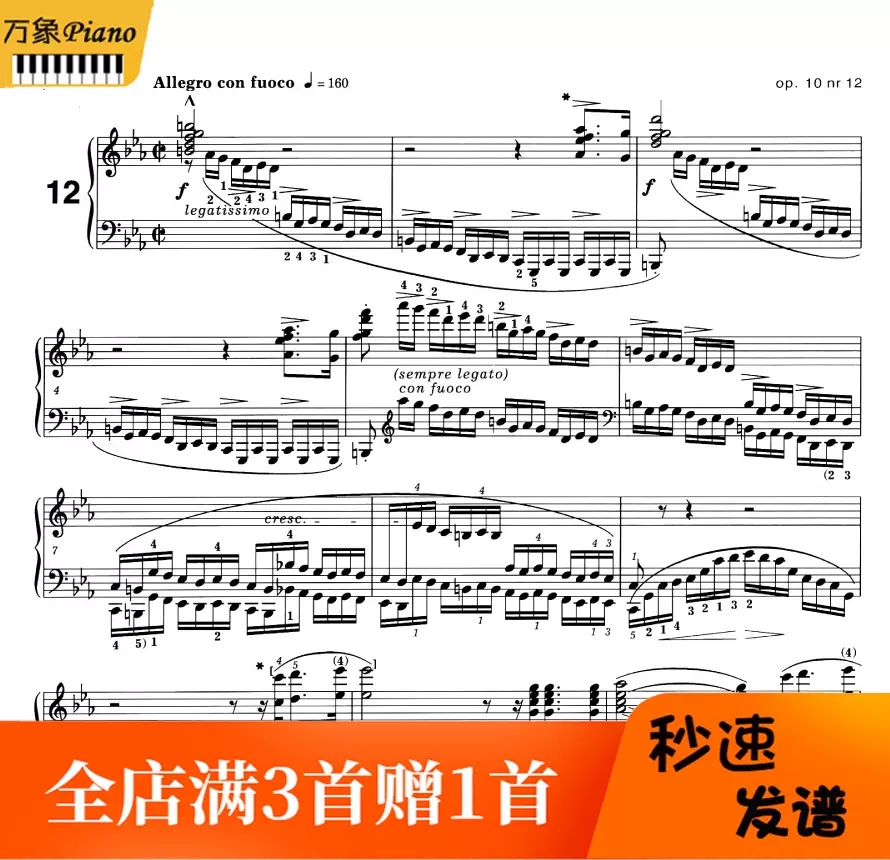 肖邦练习曲12 革命钢琴谱带指法op10 12原版 5页