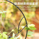 Gardening iron style Flower rack Potted Xueying Mountain Turtle Dragon Climbing Vine Flower Small Iron Lotus Plants
