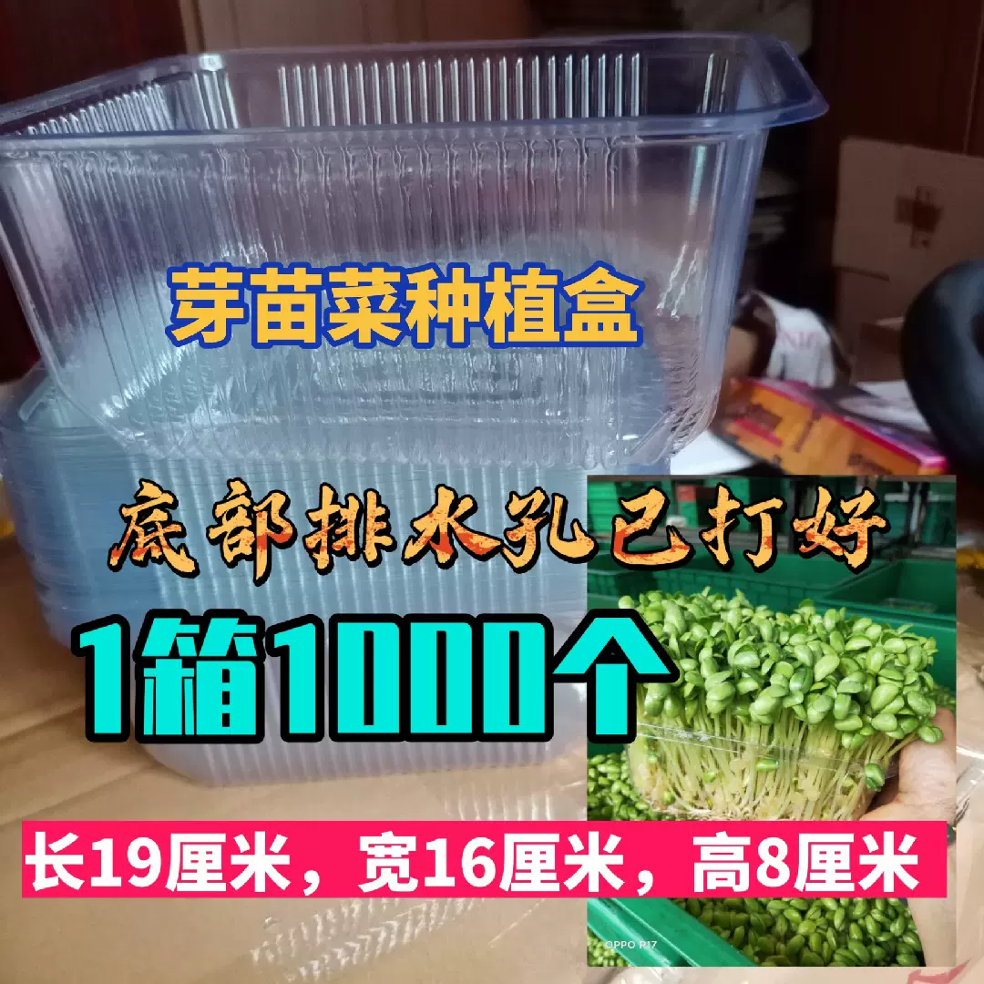 豆苗盆栽 新人首单立减十元 21年10月 淘宝海外