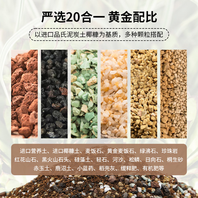 Special nutritional soil for succulent pellet soil plant peat planting soil meat leaf insert seedling old pile grain flower soil