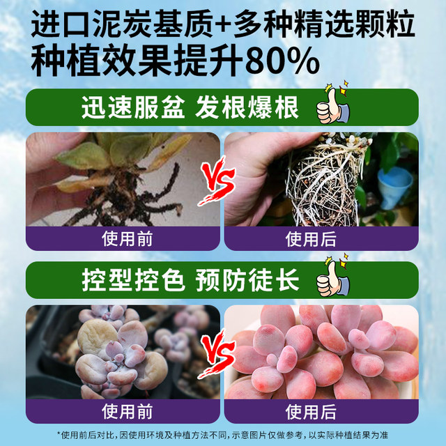 Special nutritional soil for succulent pellet soil plant peat planting soil meat leaf insert seedling old pile grain flower soil