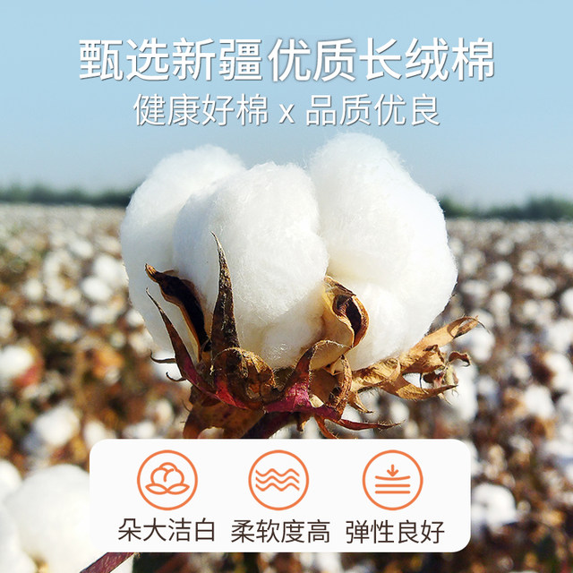 Xinjiang Changye quilt cotton quilt quilt core cotton wool mattress Cotton cotton student dormitory special winter