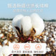 Xinjiang Changye quilt cotton quilt quilt core cotton wool mattress Cotton cotton student dormitory special winter
