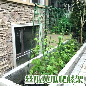 植物支架棚架园艺 新人首单立减十元 22年3月 淘宝海外