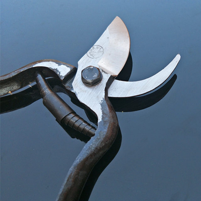 Household old-fashioned labor-saving gardening scissors mulberry flower orchard tree branch special scissors pruning shear tool