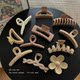2025 new style clip women's high-end back head shark clip texture plastic matte Korean women's hair clip