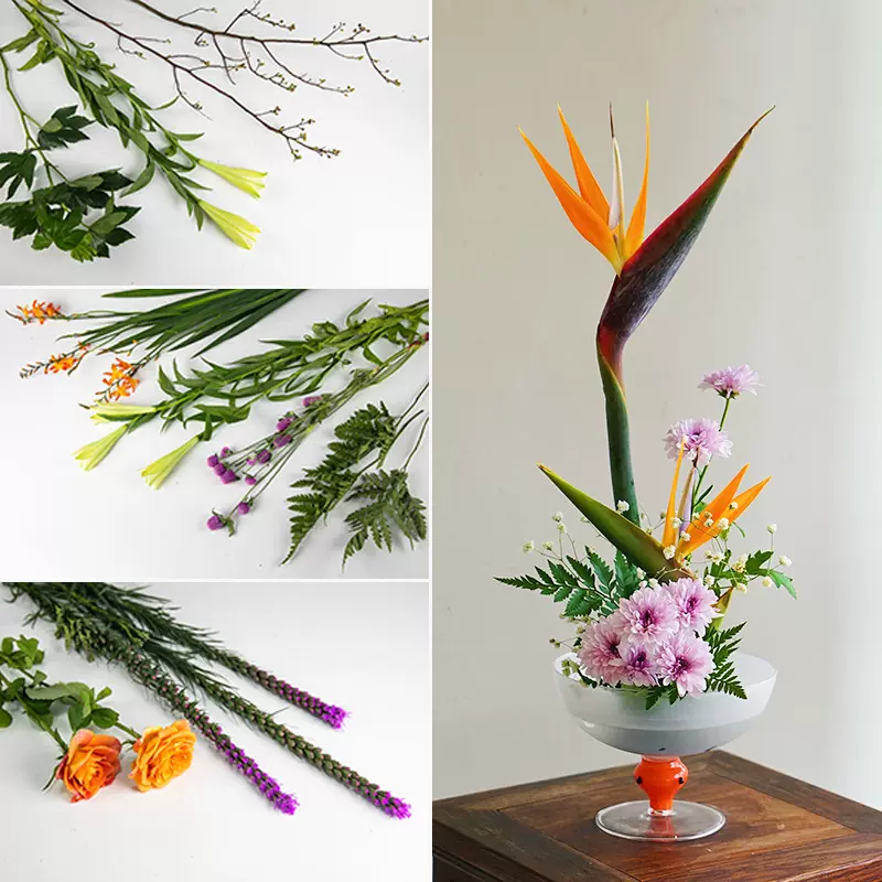 日式花道小原流插花配花当季新鲜花材插花材料室内