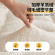 Household lambswool mattress, tatami mat, student dormitory thickened warm cushion