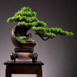 大型盆栽植物罗汉松 新人首单立减十元 22年9月 淘宝海外