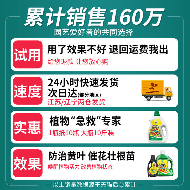 Nutrition solution plants, general type, flower, wealth, wealth, bamboo, green, and radish, hydroponics, potted plants, household flowers, green plant fertilizer