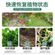 Compound fertilizer Vegetables, agricultural fertilizers, household breeds, fertilizer fertilizer fertilizer, fat fruit trees special nitrogen, phosphorus, potassium, and potassium common type