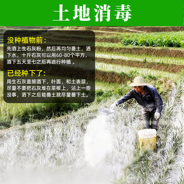 Vegetable quicklime powder sterilizes and disinfects, insecticide and repellent, desiccant, improves water quality, improves soil, prevents mildew and diseases