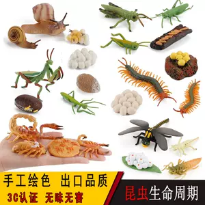 昆虫周期 新人首单立减十元 22年2月 淘宝海外