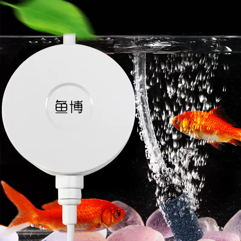 金鱼博 新人首单立减十元 21年10月 淘宝海外