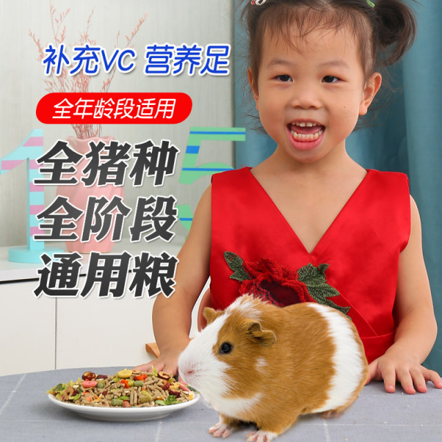 View of Guinea pig, guinea pig, special food staple food, rabbit food, rabbit ...