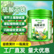 Sulfuric sulfurizer fertilizer, gardenia, camellia, azalea osmanthus, osmanthus anti -yellow leaf potted nutrient soil