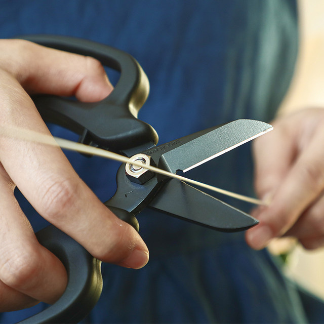 DEARYOU imported flower cutters in Japan, horticulture scissors, flower artists' special flower arrangement and pruning scissors