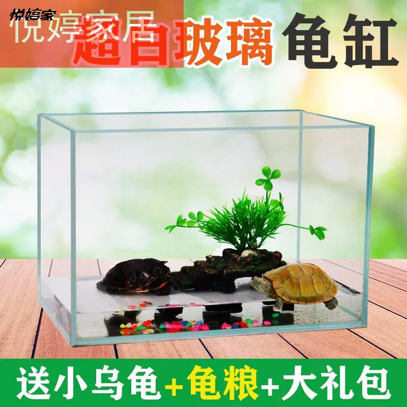 养龟的专用缸送龟 新人首单立减十元 2021年11月 淘宝海外