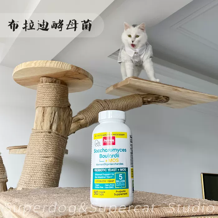 猫咪益生菌jarrow-新人首单立减十元-2021年11月淘宝海外