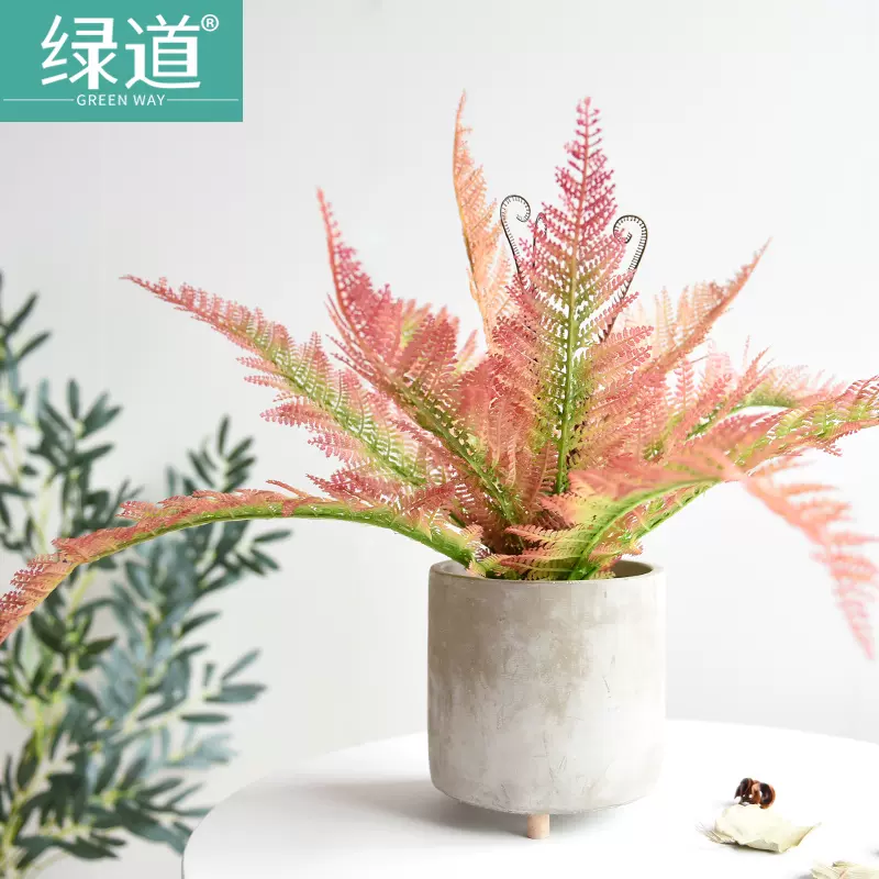 绿道仿真波斯叶植物装饰蕨类绿植室内盆栽客厅摆件小 绿道仿真波斯叶植物装饰蕨类绿植室内盆栽客厅摆件小