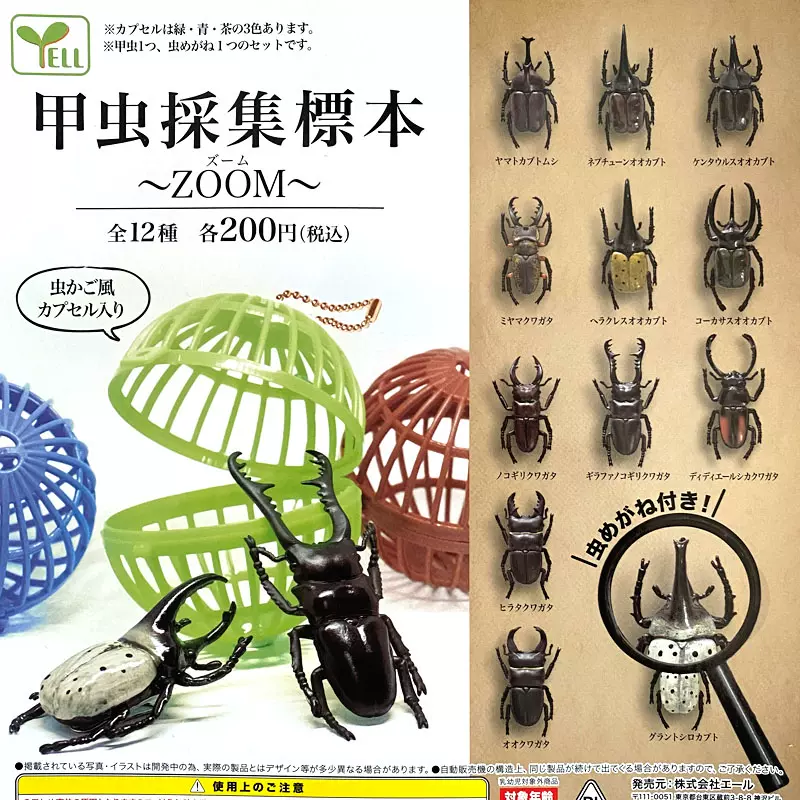 日本Yell扭蛋甲虫采集标本昆虫模型摆件仿真独角仙玩具现货-Taobao
