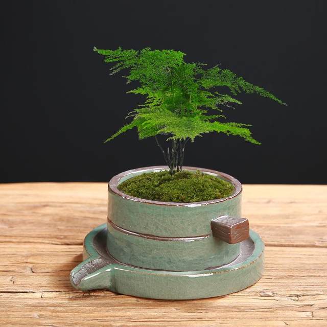 Polycin Boil Simple Ceramics Pot Rough Pottery Pot Home Horticultural Plactic Potten Potted Ge Kiln Water Swing