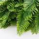 Simulated Persian leaf grass green plant plastic fern small tree background wall home and garden decoration manufacturer