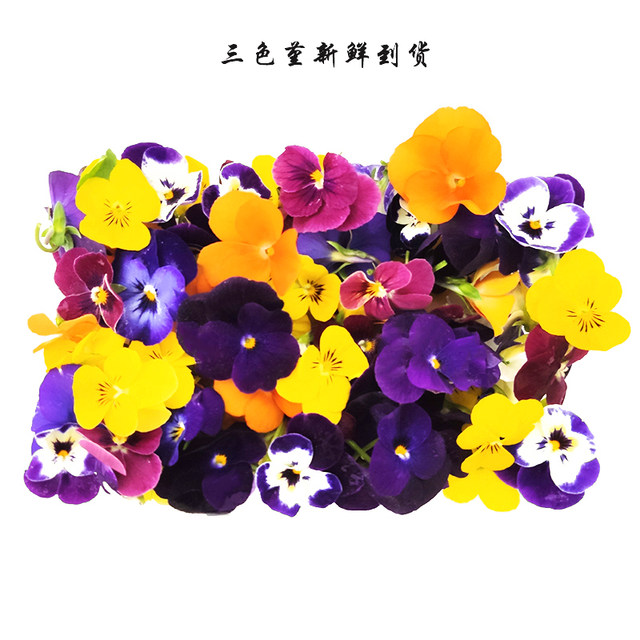 Fresh pansy fragrant wood golden willow buds, Qianye orchid, mint head, Mixed flower hotel with flowers and plants